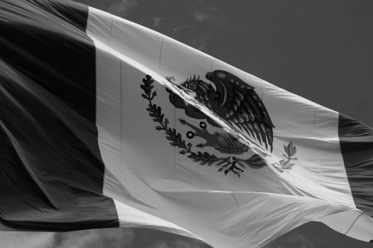 Visual Data's Impact: Shaping Public Opinion and Political Decisions